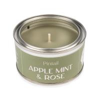 Pintail Candles Apple Mint & Rose Paint Pot Candle Extra Image 2 Preview